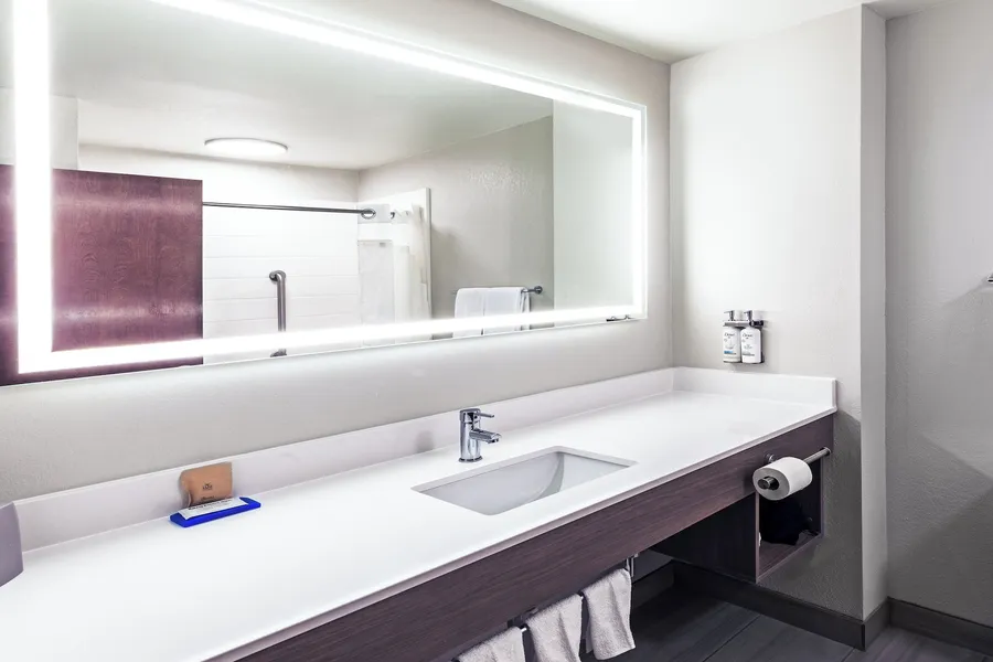Holiday Inn Express Harvey-Marrero by IHG hotel detail image 6