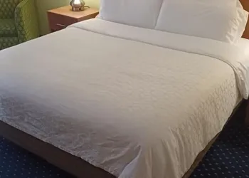 Holiday Inn Express Hotel & Suites Richmond North Ashland by IHG hotel thumbnail 6