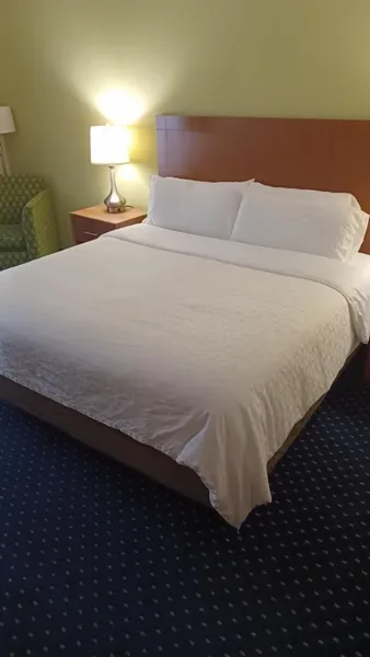 Holiday Inn Express Hotel & Suites Richmond North Ashland by IHG hotel detail image 6