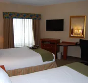 Holiday Inn Express Hotel & Suites Auburn Hills by IHG hotel detail image 4