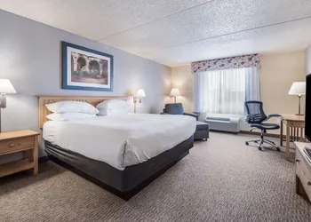 Red Lion Inn & Suites Goodyear Phoenix hotel thumbnail 7
