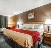 Econo Lodge Inn & Suites Jackson Northwest hotel detail image 7