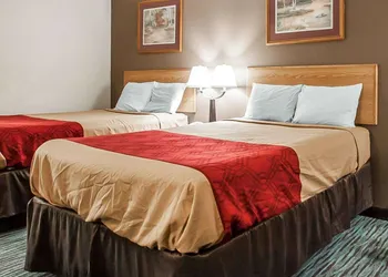 Econo Lodge Inn & Suites Jackson Northwest hotel thumbnail 8