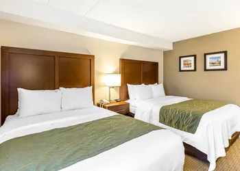 Comfort Inn Shady Grove - Gaithersburg - Rockville hotel thumbnail 6