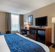 Comfort Inn Shady Grove - Gaithersburg - Rockville hotel detail image 7