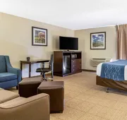 Comfort Inn Grand Rapids Airport hotel detail image 5