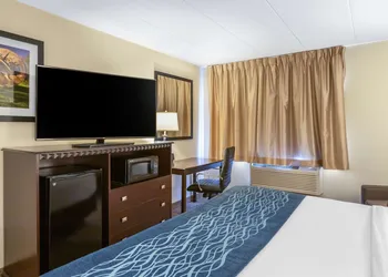 Comfort Inn Grand Rapids Airport hotel thumbnail 6