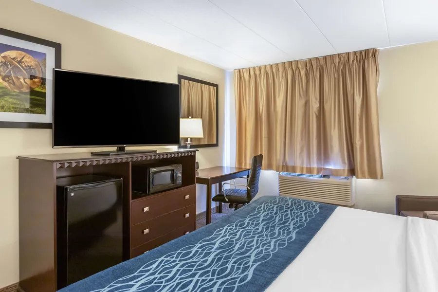 Comfort Inn Grand Rapids Airport hotel detail image 6
