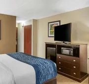 Comfort Inn Grand Rapids Airport hotel detail image 7
