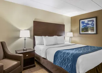 Comfort Inn Grand Rapids Airport hotel thumbnail 8