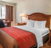 Quality Inn hotel detail image 7