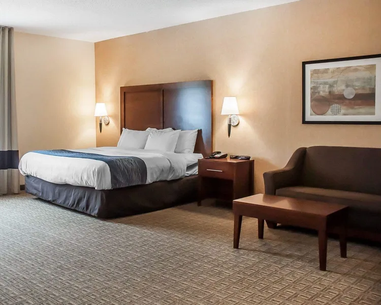 Comfort Inn & Suites Hamburg - Buffalo South hotel detail image 6