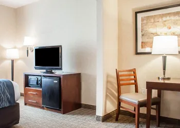Comfort Inn & Suites Hamburg - Buffalo South hotel thumbnail 8