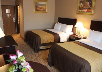 Quality Inn hotel thumbnail 8