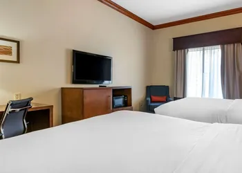 Comfort Inn & Suites Statesboro - University Area hotel thumbnail 6