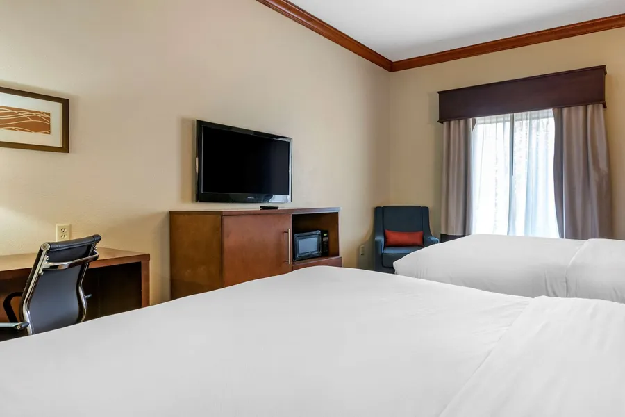 Comfort Inn & Suites Statesboro - University Area hotel detail image 6
