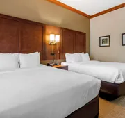 Comfort Inn & Suites Statesboro - University Area hotel detail image 7