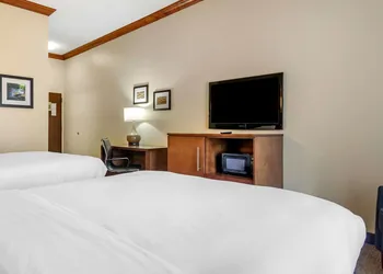Comfort Inn & Suites Statesboro - University Area hotel thumbnail 8
