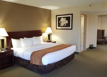 Comfort Inn Cincinnati Northeast hotel thumbnail 6