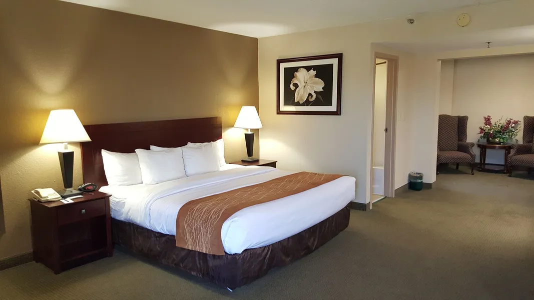 Comfort Inn Cincinnati Northeast hotel detail image 6