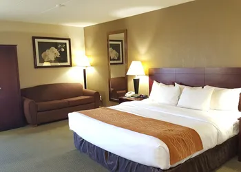 Comfort Inn Cincinnati Northeast hotel thumbnail 7