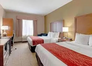 Comfort Inn and Suites Fredericksburg hotel thumbnail 5