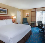 Crowne Plaza Dulles Airport by IHG hotel detail image 3