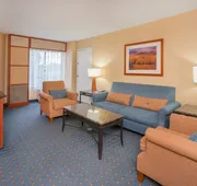 Crowne Plaza Dulles Airport by IHG hotel detail image 7