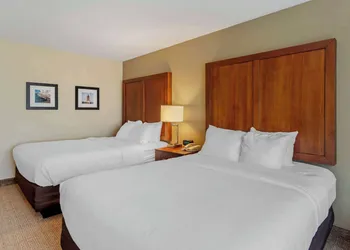 Comfort Inn & Suites Dover near Speedway hotel thumbnail 6