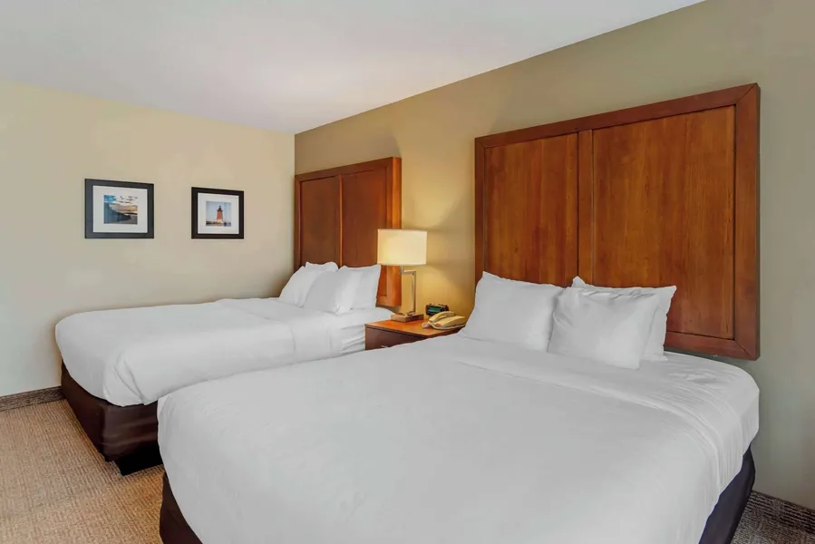 Comfort Inn & Suites Dover near Speedway hotel detail image 6