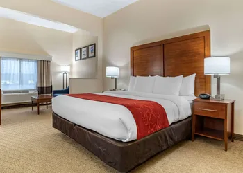 Comfort Suites Jacksonville Airport hotel thumbnail 4