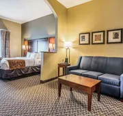 Comfort Suites Near Texas State University hotel detail image 7