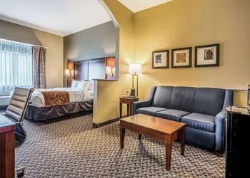 Comfort Suites Near Texas State University hotel thumbnail 7