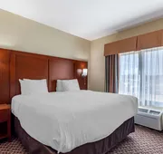Comfort Inn & Suites Carbondale University Area hotel detail image 3