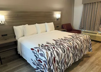 Red Roof Inn Orangeburg hotel thumbnail 8