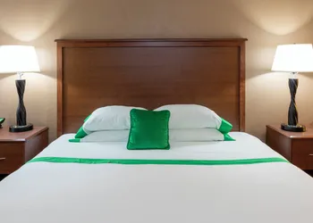 Med City Inn & Suites - Mayo Clinic Area hotel thumbnail 8