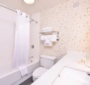 Holiday Inn Auburn-Finger Lakes Region by IHG hotel detail image 5