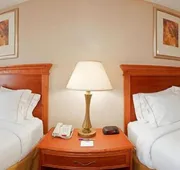 Holiday Inn Express Hotel & Suites Detroit - Utica by IHG hotel detail image 4