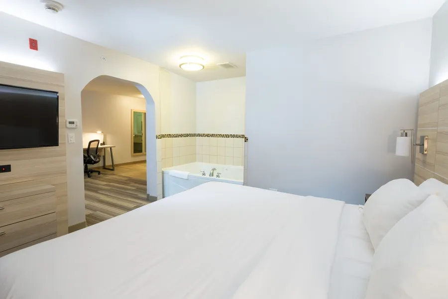 Holiday Inn Express Hotel & Suites Detroit - Utica by IHG hotel detail image 6