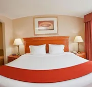Holiday Inn Express Hotel & Suites Detroit - Utica by IHG hotel detail image 7