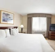 Holiday Inn & Suites Chicago-Carol Stream (Wheaton) by IHG hotel detail image 3