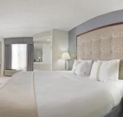 Holiday Inn & Suites Chicago-Carol Stream (Wheaton) by IHG hotel detail image 4