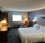 Holiday Inn & Suites Chicago-Carol Stream (Wheaton) by IHG hotel detail image 7