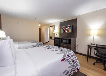 Red Roof Inn Knoxville Central - Papermill Road hotel thumbnail 3