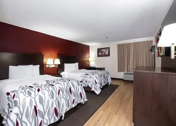 Red Roof Inn Knoxville Central - Papermill Road hotel thumbnail 7