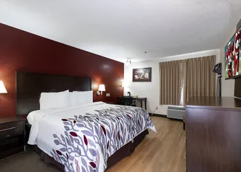 Red Roof Inn Knoxville Central - Papermill Road hotel thumbnail 8
