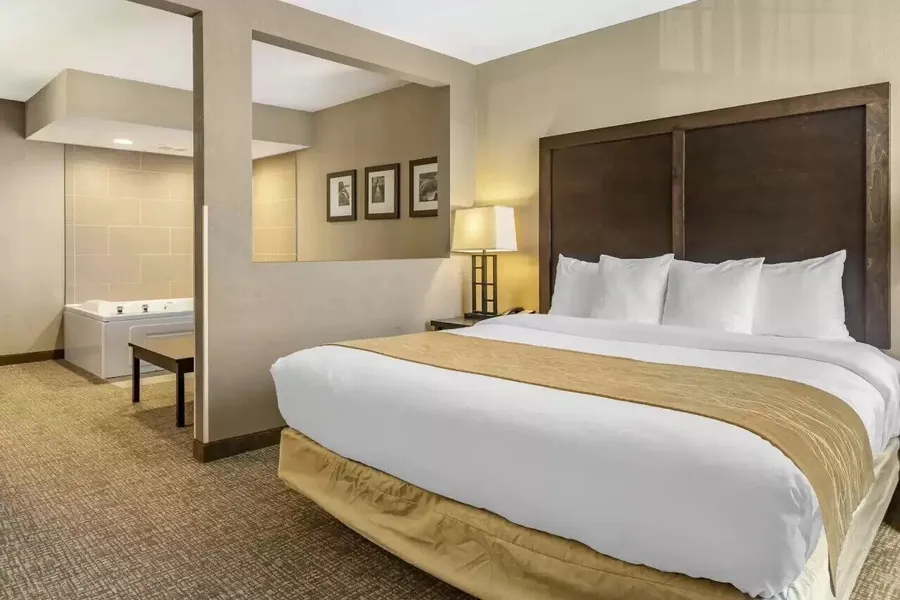 Comfort Inn & Suites hotel detail image 6