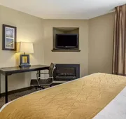 Comfort Inn & Suites hotel detail image 7