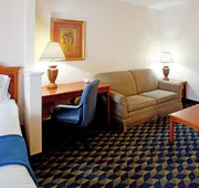 Holiday Inn Express & Suites Orangeburg by IHG hotel detail image 5