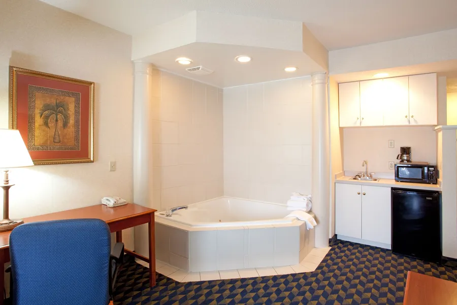 Holiday Inn Express & Suites Orangeburg by IHG hotel detail image 6
